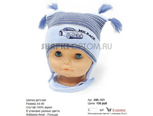 AML-H21_130 ���.jpg