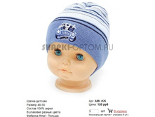 AML-H26_120 ���.jpg