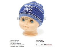 AML-M29_120 ���.jpg