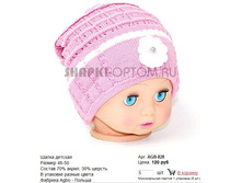 AGB-828_120 ���.jpg