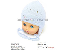 AML-004-2_120 ���.jpg