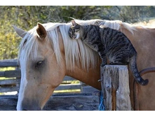 ����-�-�-����