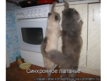 ���������� �������