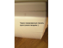 ������������ ��������.jpg