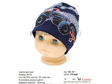 HIL-127_110 ���.jpg