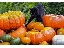 � �������� �����!