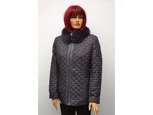 2019.jpg  3300���