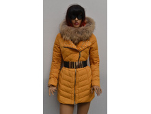 130103. 4900 ���