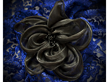 ������ �������  75 ���.jpg