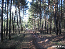 ������...