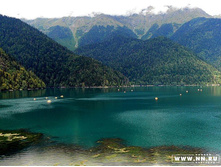 ����� ����