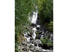 ������� "��������"