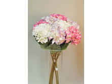 ����������� 427.jpg