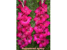 6) ��������� �����_41.jpg