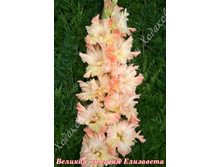 9) ������� ������� ���������_49.jpg