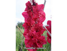 10) �������� �������_49.jpg