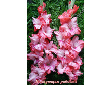 11) ��������� �������_49.jpg