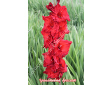 15) ���������� �������_41.jpg