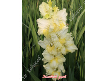 25) ������� ����_41.jpg