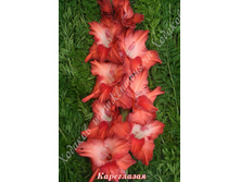 27) ����������_49.jpg