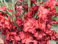 28) ������_49.jpg