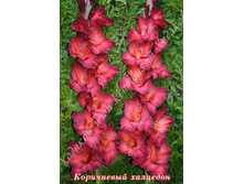 30) ���������� ��������_49.jpg