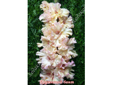 34) ��������� ����_41.jpg