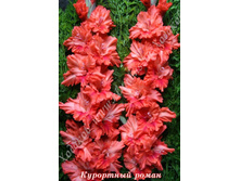 36) ��������� �����_41.jpg