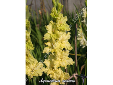 41) �������� ������_41.jpg