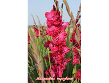 45) ��������� ���������_49.jpg