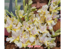 48) ��� �����_49.jpg