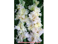 56) �������������� ����_49.jpg