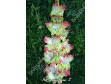 63) ���� ������� 2_49.jpg