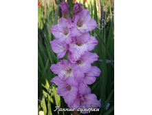 67) ������ �������_41.jpg