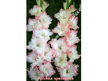 73) ������� ���������_41.jpg