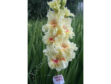 74) ������� ���������_49.jpg