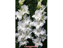 80) ����������_49.jpg