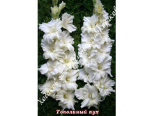 92) ��������� ���_49.jpg