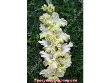 93) ��������-���������_41.jpg