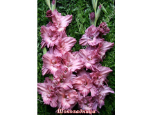 98) �����������_49.jpg