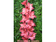 99) ���������� �������_41.jpg