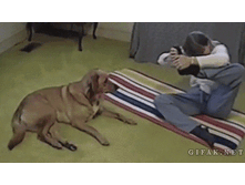 ������ - ���� ����