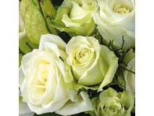 75-005-00 - ����� ����. ���� 0,16 ���� �� 1��..jpg