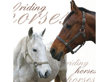 75-055-00 - ������. ���� 0,16 ���� �� 1��..jpg