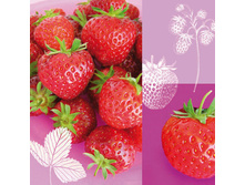 75-064-00 - ��������-������. ���� 0,16 ���� �� 1��..jpg