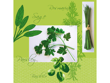 75-065-00 - ������� �����. ���� 0,16 ���� �� 1��..jpg