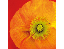 75-079-00 - �����. ������. ���� 0,16 ���� �� 1��..jpg