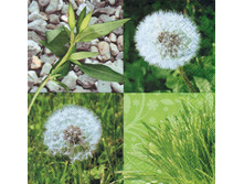 75-084-00 - ���������-�����. ���� 0,16 ���� �� 1��..jpg