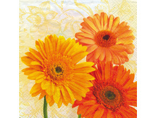 75-085-00 - �������. ���� 0,16 ���� �� 1��..jpg