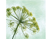 75-086-00 - �����. ���� 0,16 ���� �� 1��..jpg